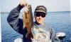 catbass113.jpg (49749 bytes)