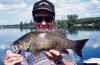 catbass116.jpg (55909 bytes)