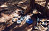 catlunch118.jpg (85889 bytes)