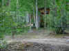 northcat21.jpg (25545 bytes)