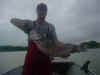 patcats1.jpg (7276 bytes)