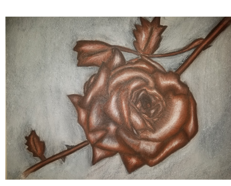Rose