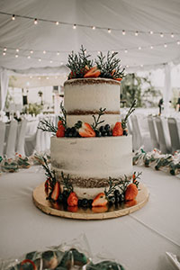 cake4