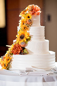 cake6