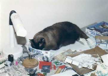 Minstrel asleep