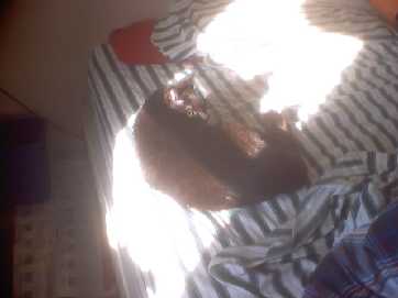 JAX on bed
