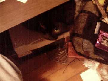 JAX hiding