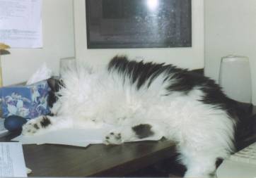 Tennessee on desk