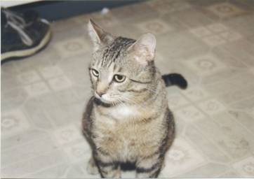 Volya Portrait