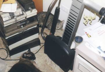 Volya and Minstrel