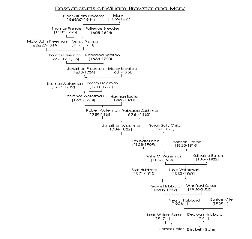 William Brewster Descendants Chart