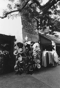 Store in Adventureland