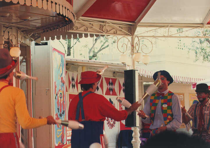Carnation