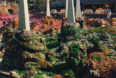 Splash Mountain Sign
