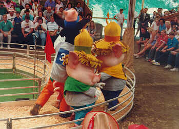 Pig Race