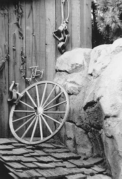 Big Thunder Ranch