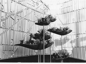 Plant by Circle Vision