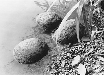 Rocks by Island