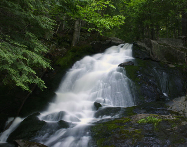 Alder Falls, MI