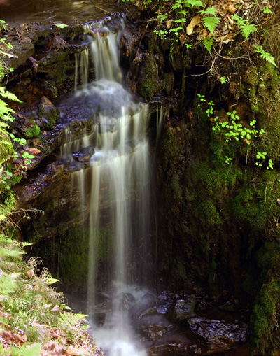 Monument Falls, MI