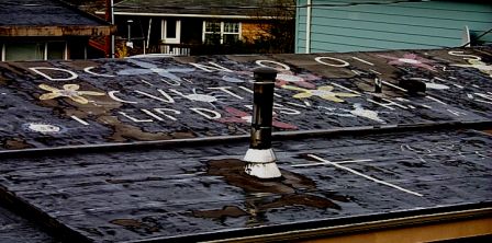 roof in question