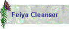 Feiya Cleanser