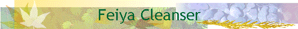 Feiya Cleanser