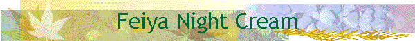 Feiya Night Cream