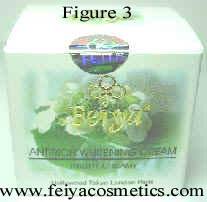 Feiya Day Cream Hologram