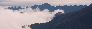 Central Andes of Colombia