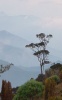 Rio Barbo valley