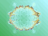 Coral Reef