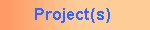 Project(s)