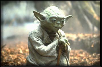 Yoda