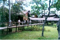 Cangussu