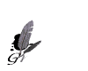 gracias.gif (5898 bytes)