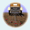 Just Married Car