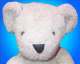 ~ Bear