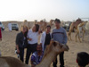 Desert Safari Adventure