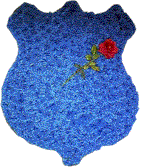 Link to National Law Enforcement Memorial