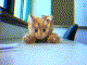 capture14.jpg