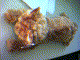 capture17.jpg