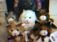 Cats together