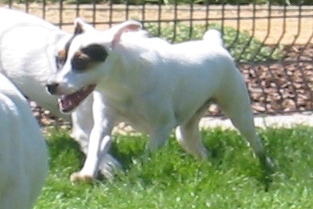 casey
