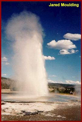 Daisy Geyser
