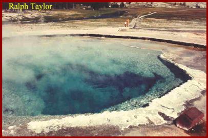 Crested Pool