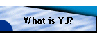 What is YJ?