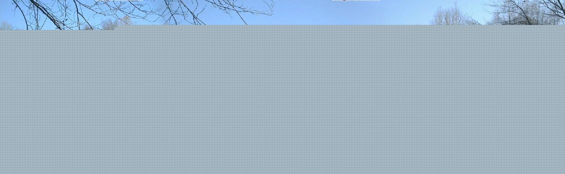 billysfront.jpg