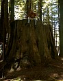 fort0025.jpg