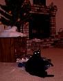 xmas0003.jpg